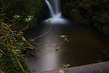 DSC0021