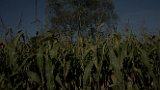 Natur D7100Test1
